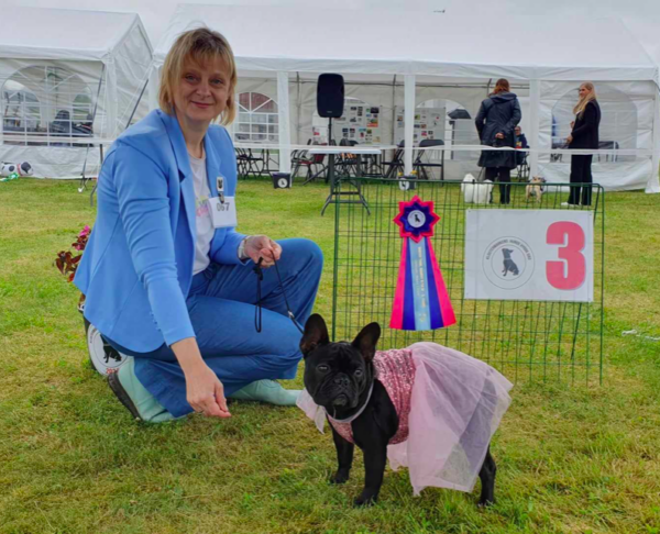Dagens sødeste hund (Handler fra 14 år)