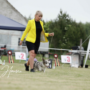 Handler klasse ( begynder )