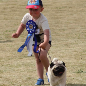 Barn og hund op til 7 år