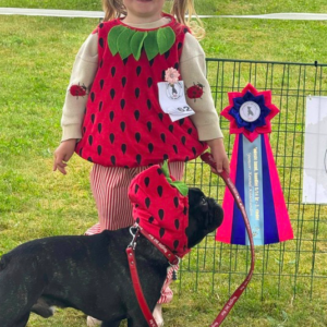 Dagens sødeste hund (handler op til 14 år)